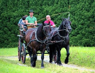 Mit der Kutsche vom Laisterbauer gehts von Seeham zum Anlegesteg nach Mattsee (c) Salzburger Seenland © Salzburger Seenland